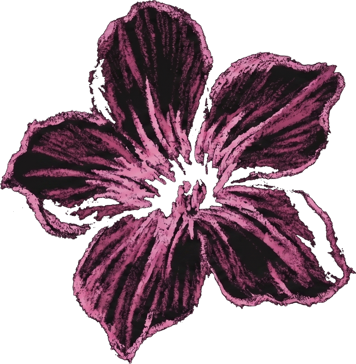 Desert Flowers